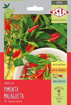 218 - SUPER PIMENTA MALAGUETA