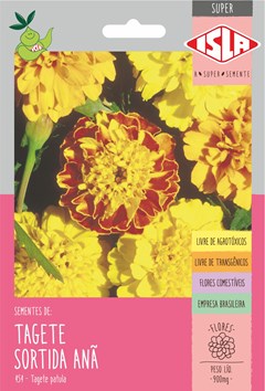 454 - SUPER TAGETES SORTIDA ANA