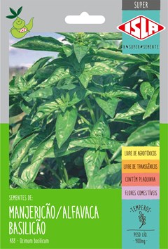 488 - SUPER MANJERICAO BASILICAO