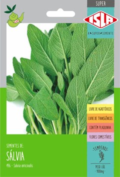 496 - SUPER SALVIA SALVIA