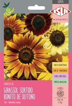 386 - SUPER GIRASSOL OUTONO BONITO SORTI