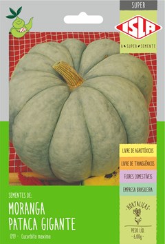 019 - SUPER MORANGA PATACA GIGANTE