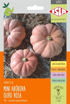 900 - SUPER MINI ABOBORA OURO ROSA