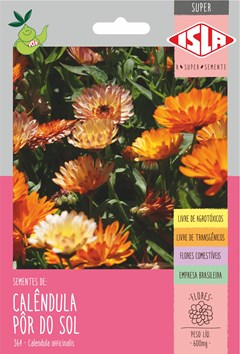 364 - SUPER CALENDULA POR DO SOL
