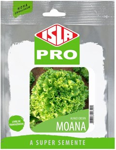 993 - SEM ALFACE MOANA CRESPA PELETIZADA