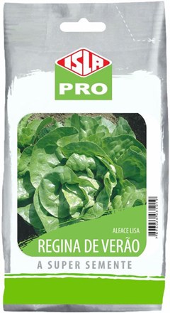 035 - SEM ALFACE REGINA DE VERAO LISA50G