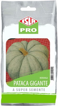 019 - SEM MORANGA PATACA GIGANTE 250G