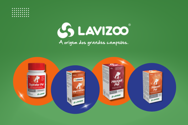 Carrossel Principal - Representação Lavizoo